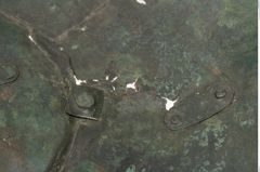 Foto von Bronzebreitrandschüssel (NHMW-PRAE-051245)